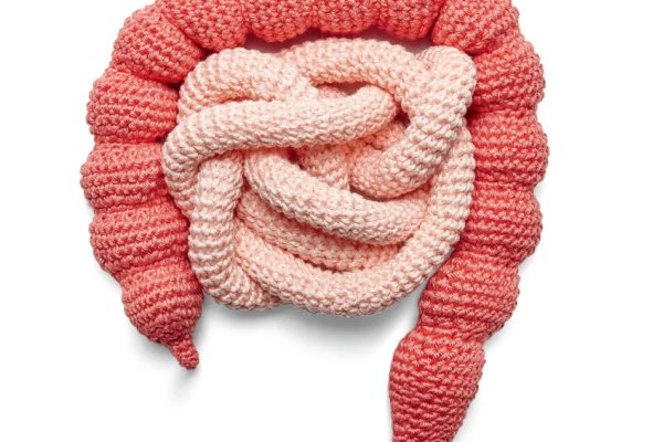 SIBO: Entenda os Sintomas, Causas e Tratamentos da Síndrome do Intestino Delgado