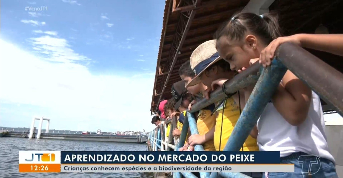 Visita ao Mercado do Peixe conscientiza crianças sobre a preservação dos botos em Santarém