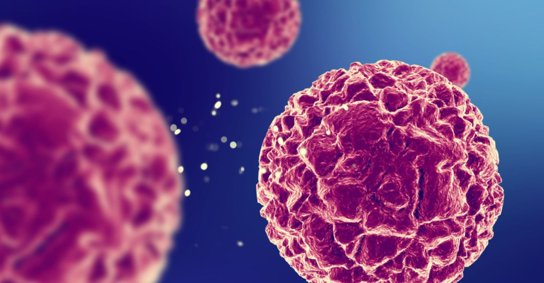 Vacina experimental mostra potencial contra tumores causados pelo HPV