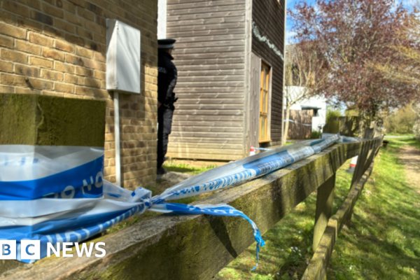 Jovem de 19 Anos Morta em Ataque de Cachorro em Essex