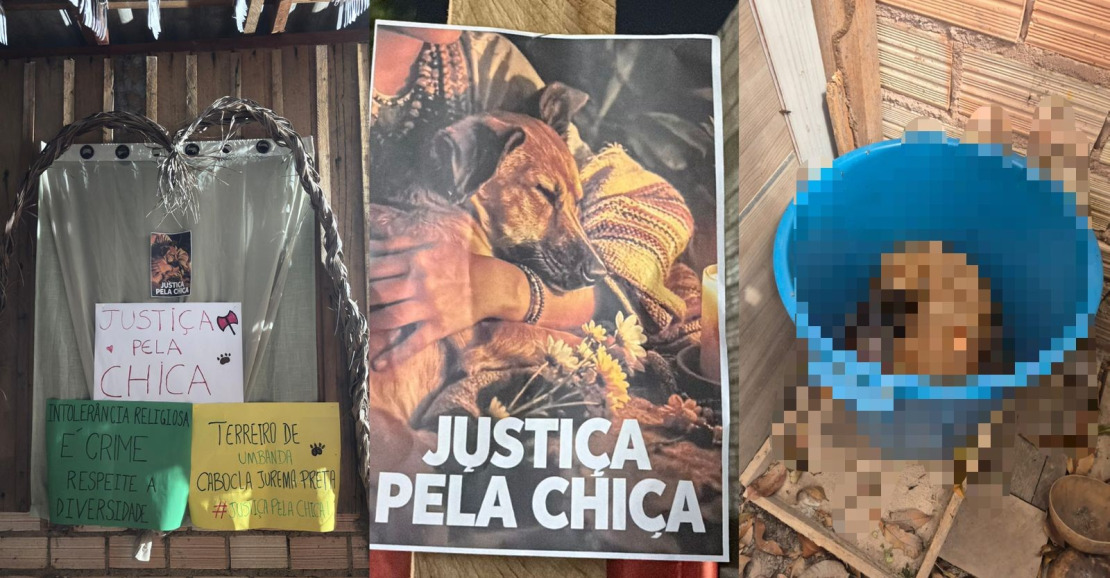 Violência contra cadela acende alerta de intolerância religiosa em Santarém