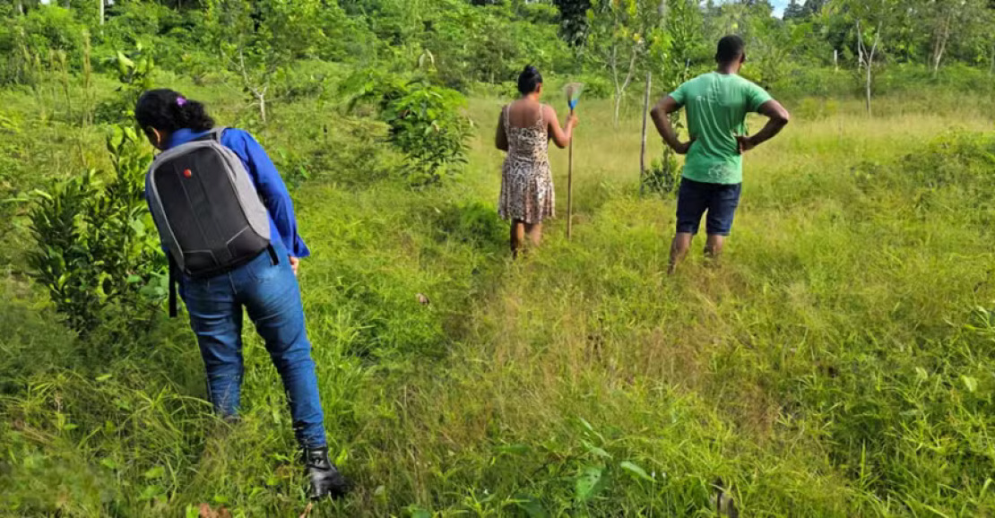 Quilombolas de Oriximiná fortalecem produção alimentar com apoio comunitário e tecnológico