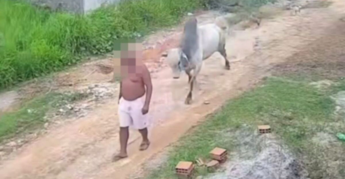 Homem é arremessado após ataque de boi em rua de Paudalho