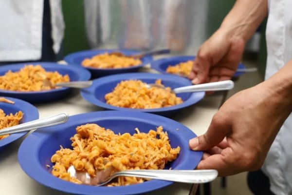 Inércia na Análise de R$ 28 Bi da Merenda Escolar Segundo TCU