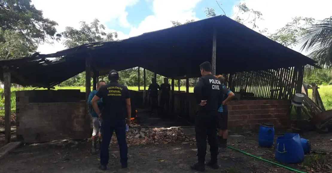 Adepará Interdita Abatedouro Clandestino de Suínos em Bragança por Irregularidades Sanitárias