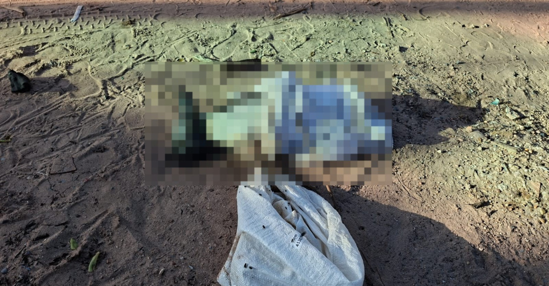 OAB Santarém Condena Crueldade contra Cachorro Encontrado Morto em Lixeira